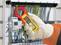 Pince multim�tre pour courant de fuite