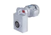 Moto-r�ducteurs pendulaires