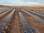 Paliers lisses polym�res pour le secteur solaire: des composants igus sur le nouveau syst�me orienteur photovolta�que de Conergy
