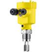 Détecteur compact à lames vibrantes