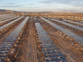Paliers lisses polym�res pour le secteur solaire: des composants igus sur le nouveau syst�me orienteur photovolta�que de Conergy