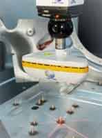 METRIS devient NIKON METROLOGY