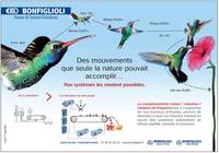 La compl�mentarit� des mouvements