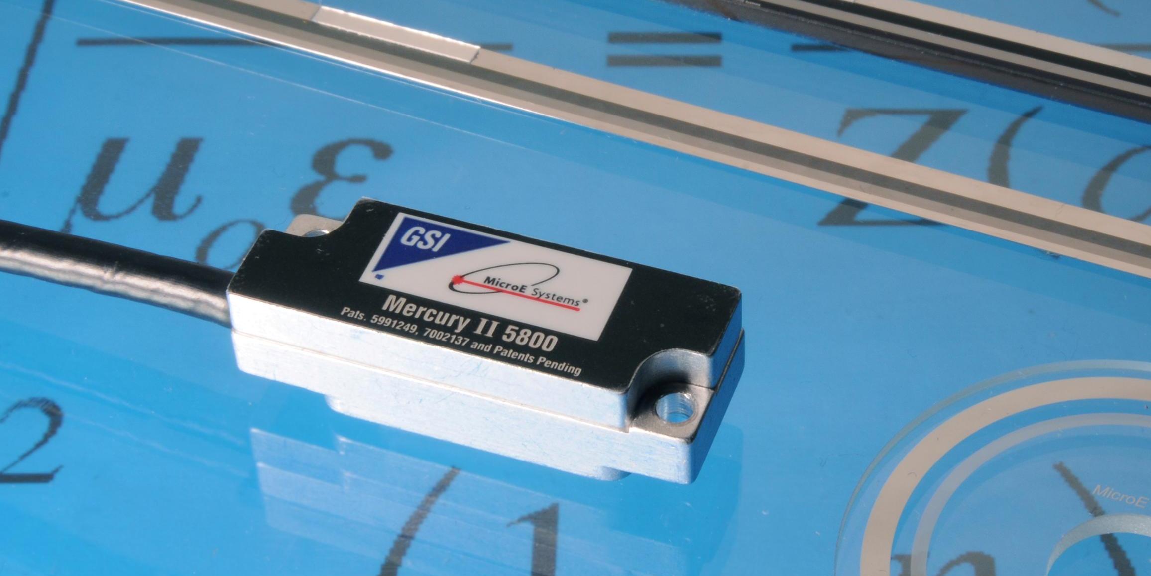 Ours Codeur Miniature Amusant Avec Figurine D'ordinateur Portable Pour